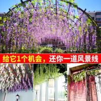 uploads/erp/collection/images/Home Garden/CongDing/XU0611831/img_b/XU0611831_img_b_1